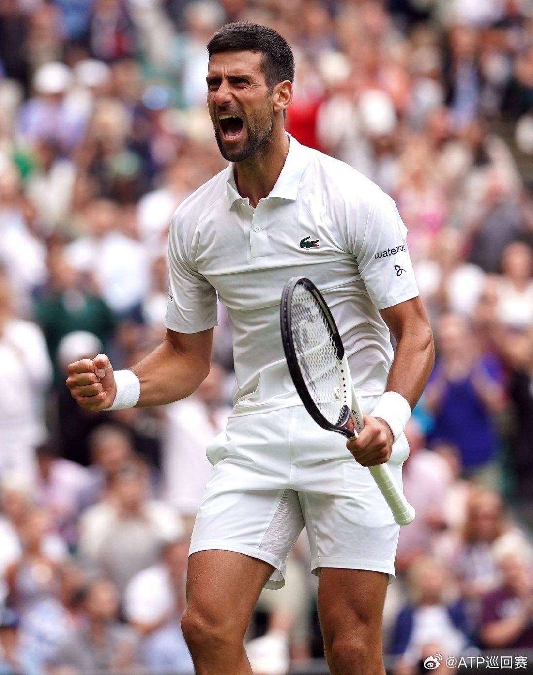 7次砍下2 7次砍下2