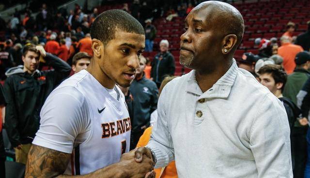 闪电般的速 闪电般的速